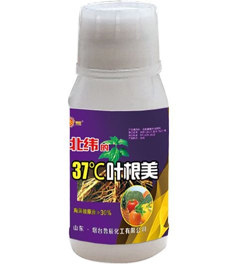 青州市叶面肥料  叶根美