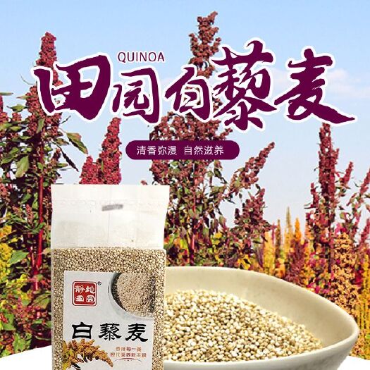 静乐县白藜麦  白藜麦 500克真空米砖 厂家直销 山西发货