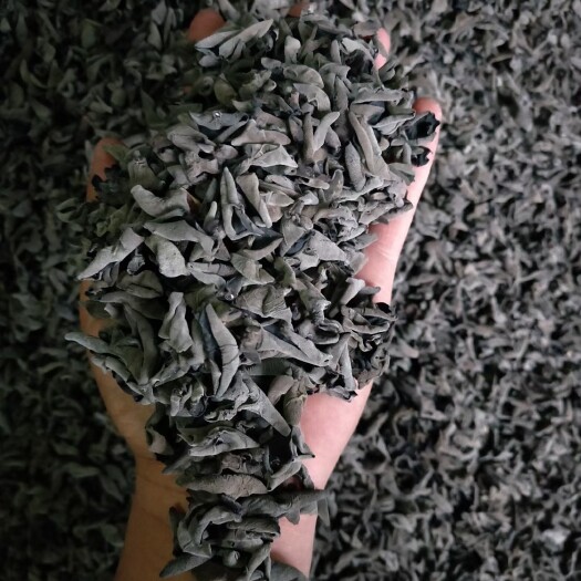 兰州黑木耳  1.0-1.2黑山小云耳  包邮