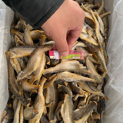 雷氏银鱼  雷鱼干品三去