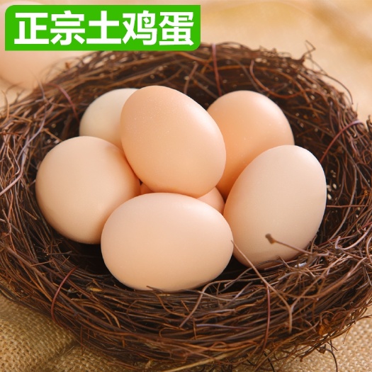 吉首市草鸡种蛋  正宗土鸡蛋农家散养新鲜纯农村自养天然40枚草鸡蛋笨鸡蛋乌绿壳
