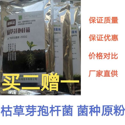 平度市复合微生物菌剂  枯草芽孢杆菌纯200亿菌种 防重插防死棵