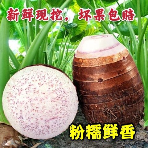 江永县芋头槟榔芋带箱10斤装香芋产地直供包邮