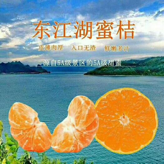 资兴市东江湖蜜橘  5A景区东江湖蜜桔上市了，欢迎各界人士订购