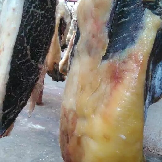 清真牛肉干巴
通穆斯林群众素有饲养菜牛腌制清真的
