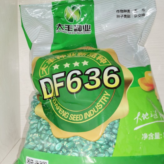 大丰DF636 双交种 ≥95%