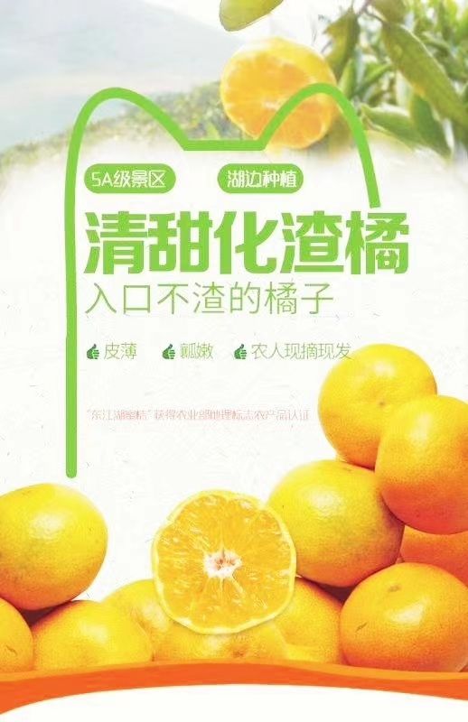 东江湖蜜橘  5A景区东江湖蜜桔上市了，欢迎各界人士订购