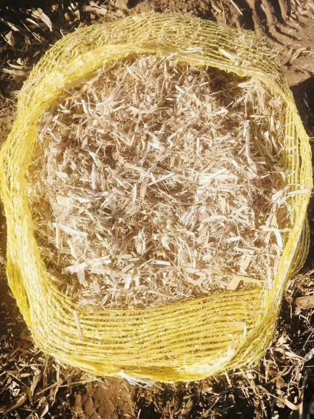 玉米秸秆