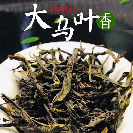 汕头潮州凤凰单丛茶 大乌叶 清香型凤凰单枞 黄枝香 茶农自产直销