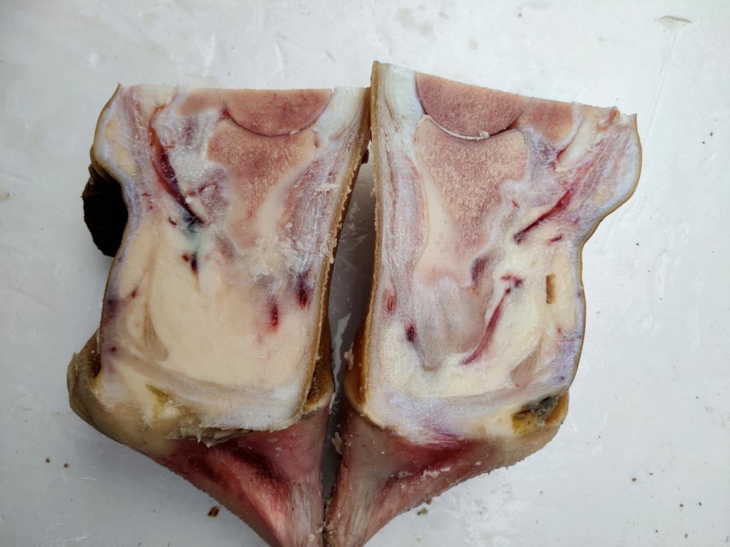 湖北湖南新鲜原切牛脚掌牛蹄子50斤起批