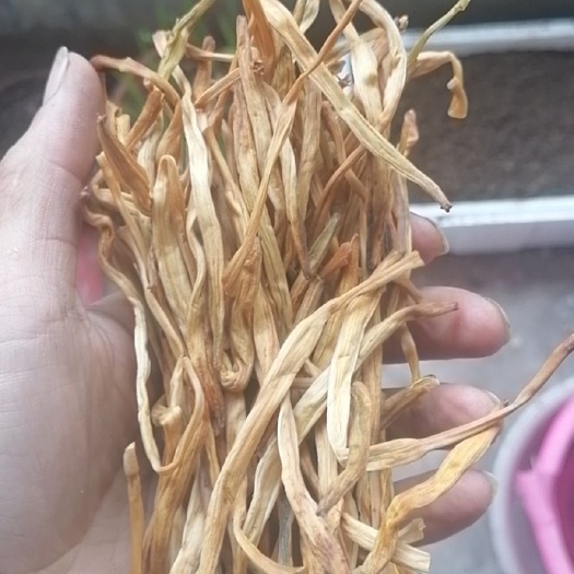 乐平市无硫黄花菜