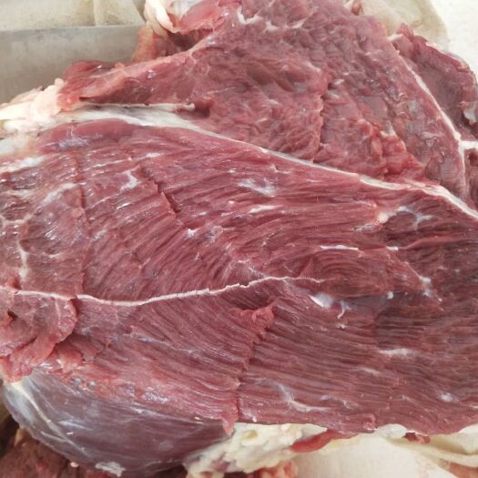 东营牛肉类  无注水牛肉
