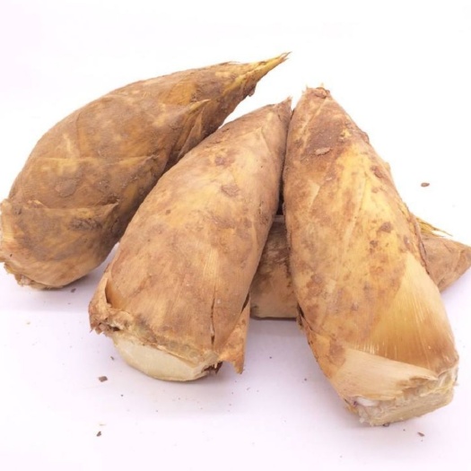 隆回县冬笋量大价格优