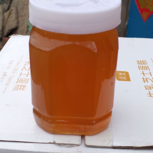 济南 荆条蜜
