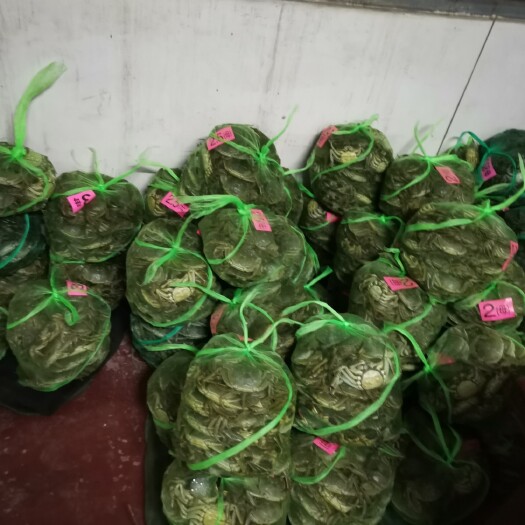 盐城兴化大闸蟹螃蟹红膏蟹母公蟹批发螃蟹