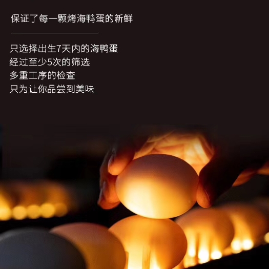 无锡烤鸭蛋 广西红红树林海鸭蛋
