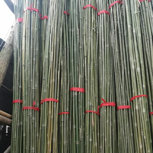 湖州早园竹  产地直销菜架竹早农用小竹竿等各种规格竹制品