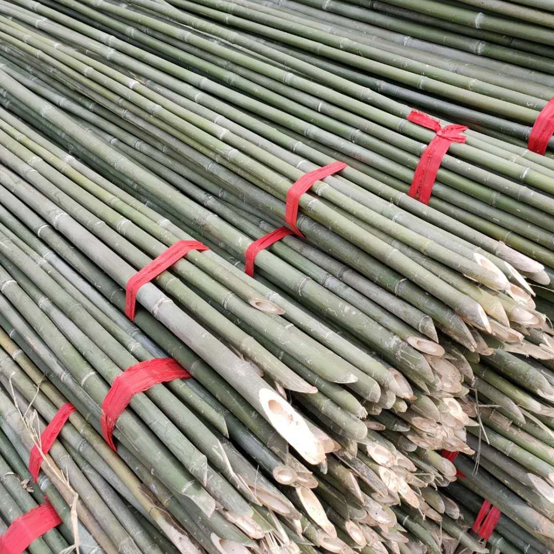原产地直销菜架竹 绿化支撑杆 果树抗风支撑竹竿农用小竹竿等