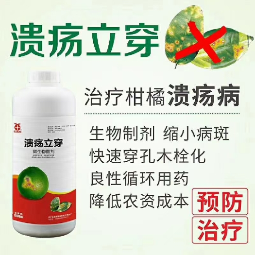 郑州叶面肥  溃疡立穿，代替铜制剂，2-3天结痂穿孔，不引发红蜘
