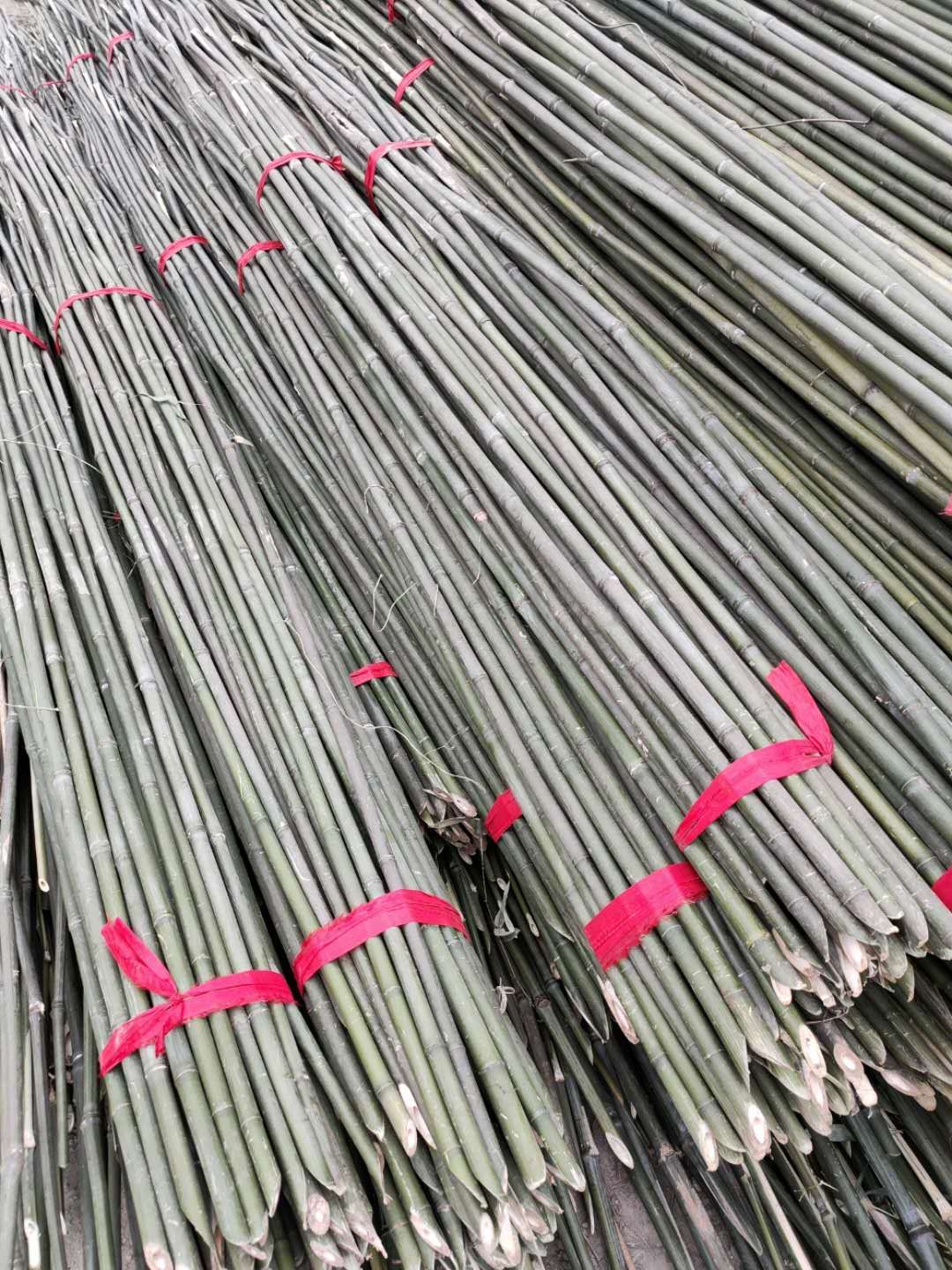 原产地直销菜架竹 绿化支撑杆 果树抗风支撑竹竿农用小竹竿等