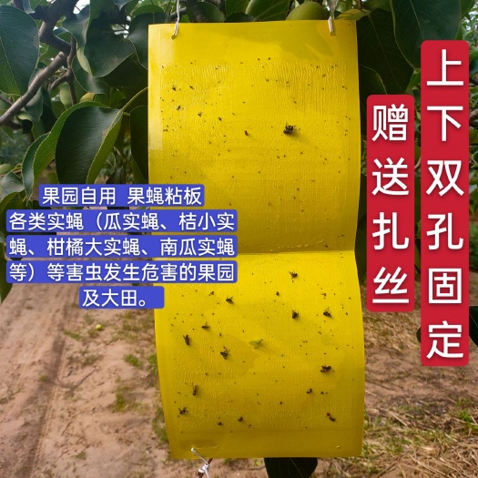 曹县诱虫板  瓜果实蝇粘胶板果蝇实蝇贴针蜂粘虫板农用果园诱粘板苍蝇蚊诱捕器
