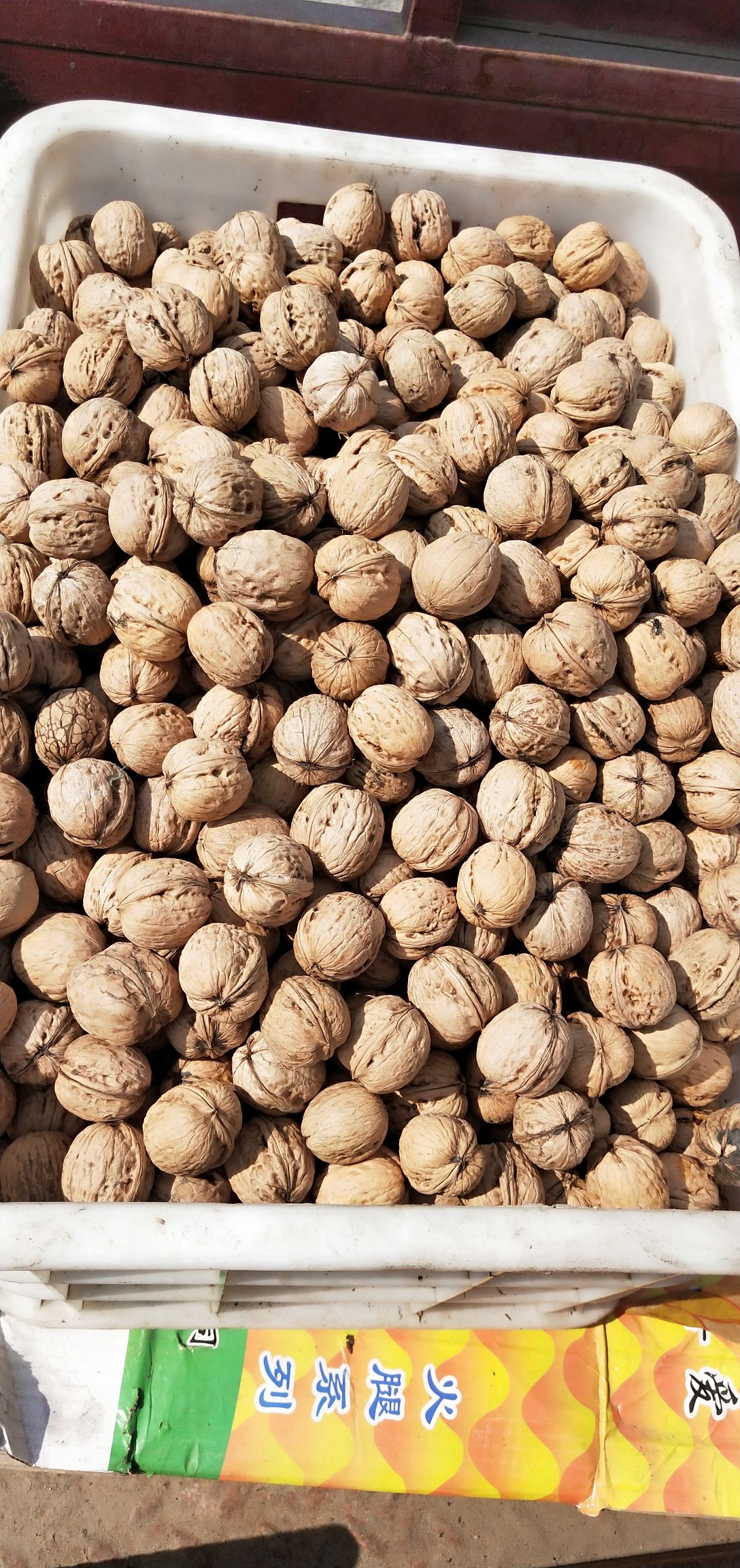 薄皮核桃 核桃
