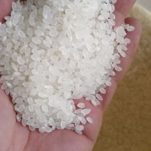 绥化苏北大米 一等品 一季稻 粳米 