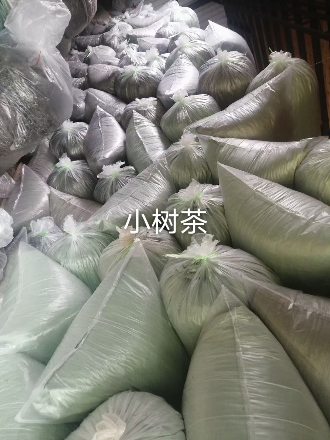 普洱  小树茶存货600公斤