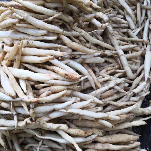 勐腊县纯S
大百部，鲜货，干货，劈条，圆条，都可以供货