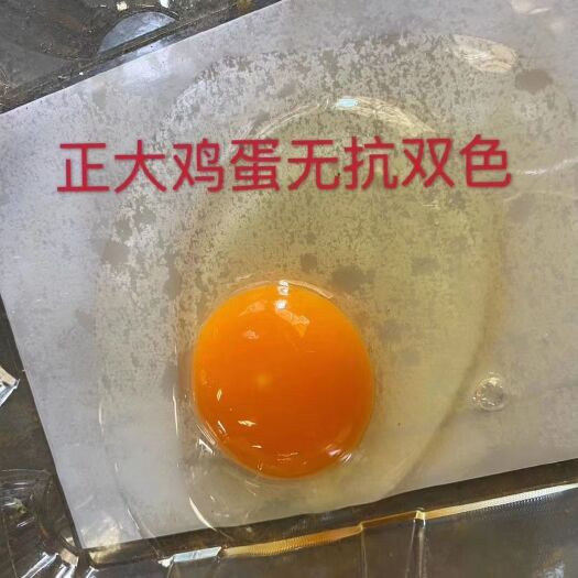 合肥土鸡蛋  正鸡蛋供货稳定，无抗、无残药，品质保障。