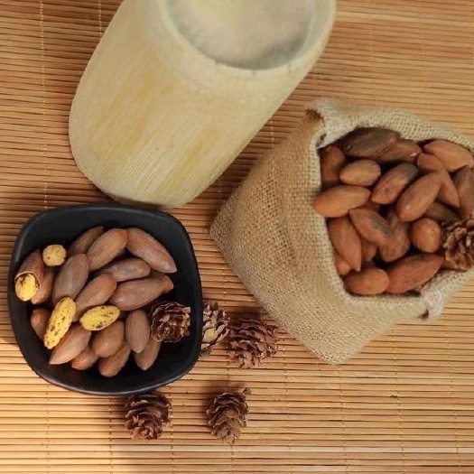 绍兴 香榧