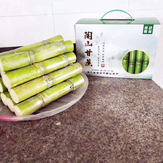 瑞安市陶山青皮甘蔗