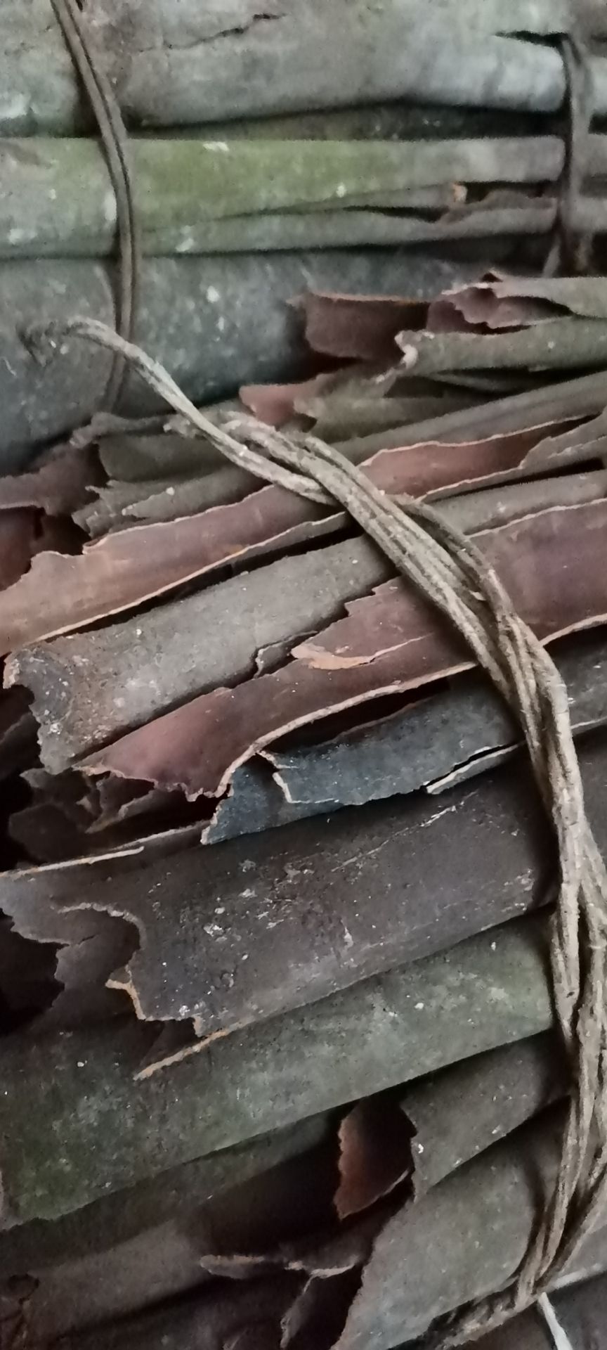 中通桂皮  贵州山桂皮 非人工种植桂皮 非肉桂 香桂皮