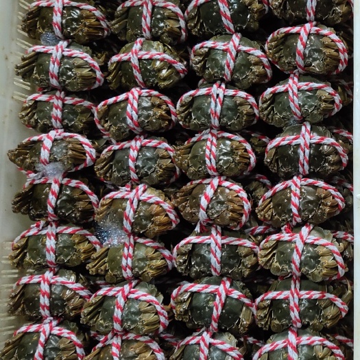 生态大闸蟹 母蟹 2.0-2.5两 