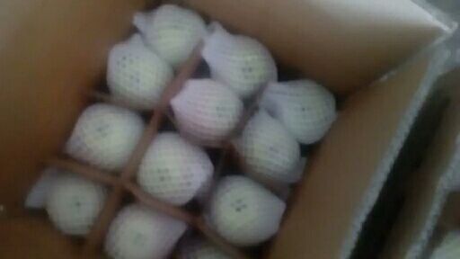 红富士苹果  陕西蒲城膜袋红富士下树啦客商开始装货了