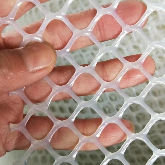 苗床网  育雏网 鸡鸭鹅漏粪网 塑料养殖网 防坠网塑料网格隔