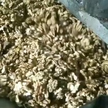 无棣县少吃油吃好油中国欣兮程纯山核桃油，，纯野生天然