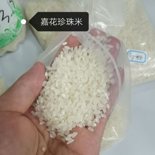 深圳圆粒大米 圆颗粒大米