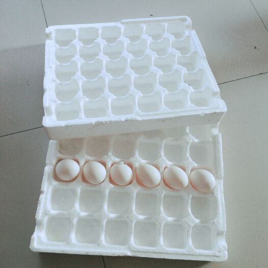聊城鸭蛋托   鸡蛋托   大量现货  泡沫箱厂家直销
