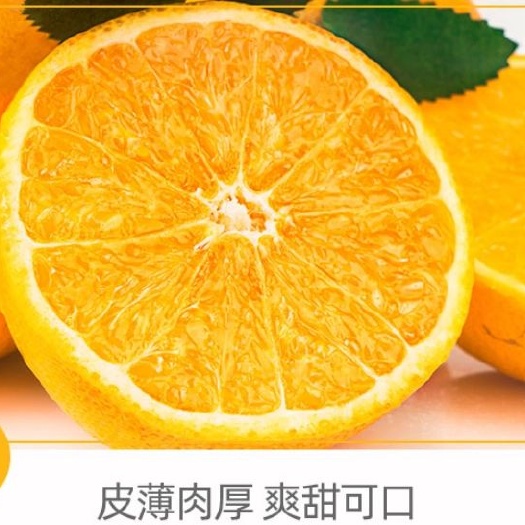 麻阳县产地直供 新鲜采摘  麻阳冰糖橙 椪柑 橙子  纽尔荷脐橙