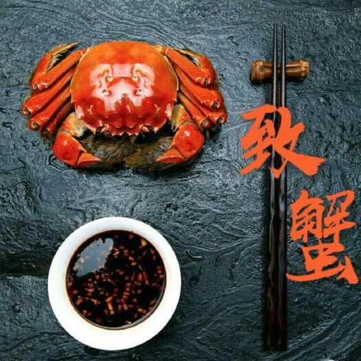 兴化市洪湖市大闸蟹  好水养好蟹，水质清晰无污染，养殖环境好，高兴里滩美味蟹