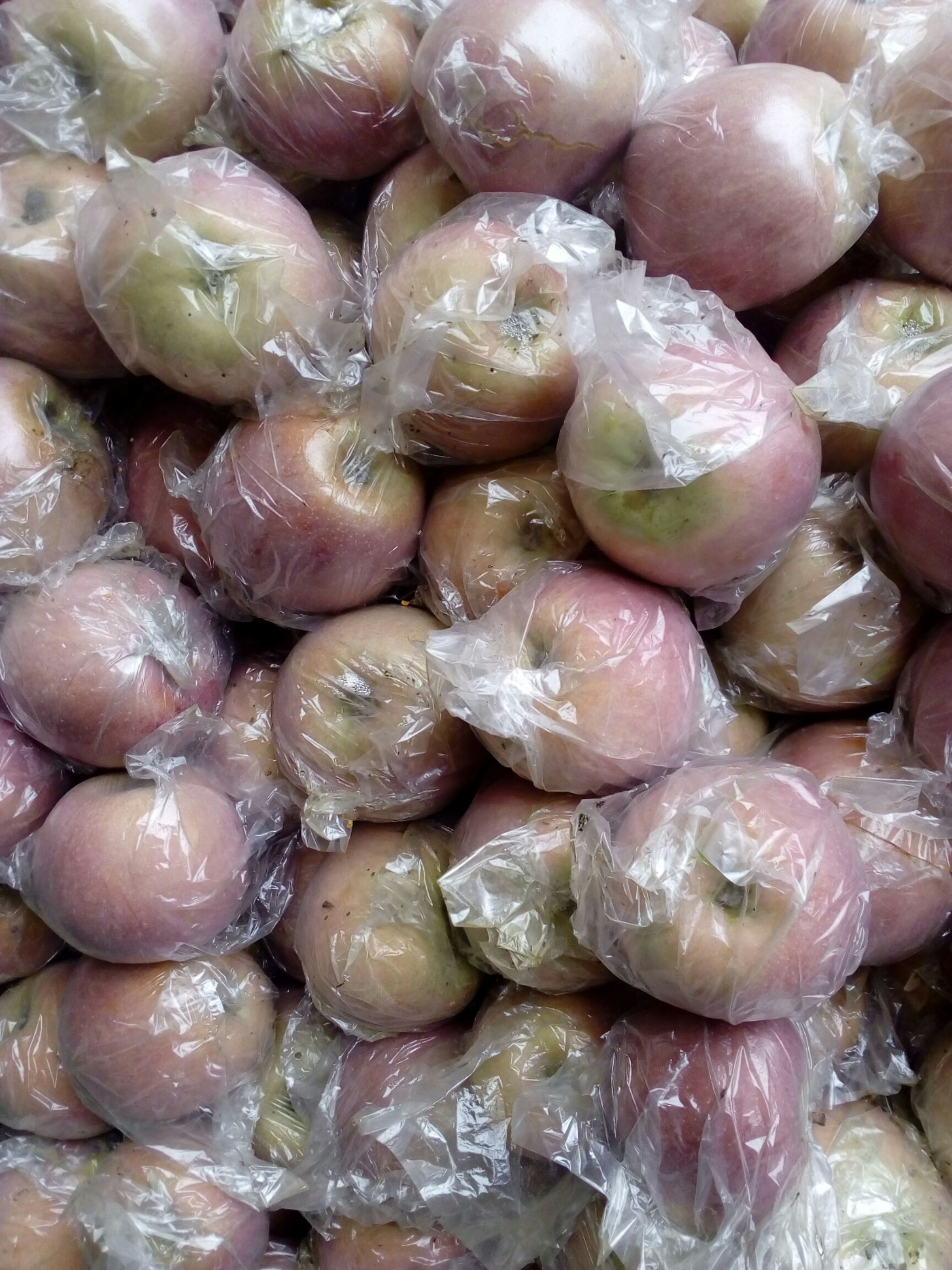 红富士苹果  陕西蒲城膜袋红富士下树啦客商开始装货了