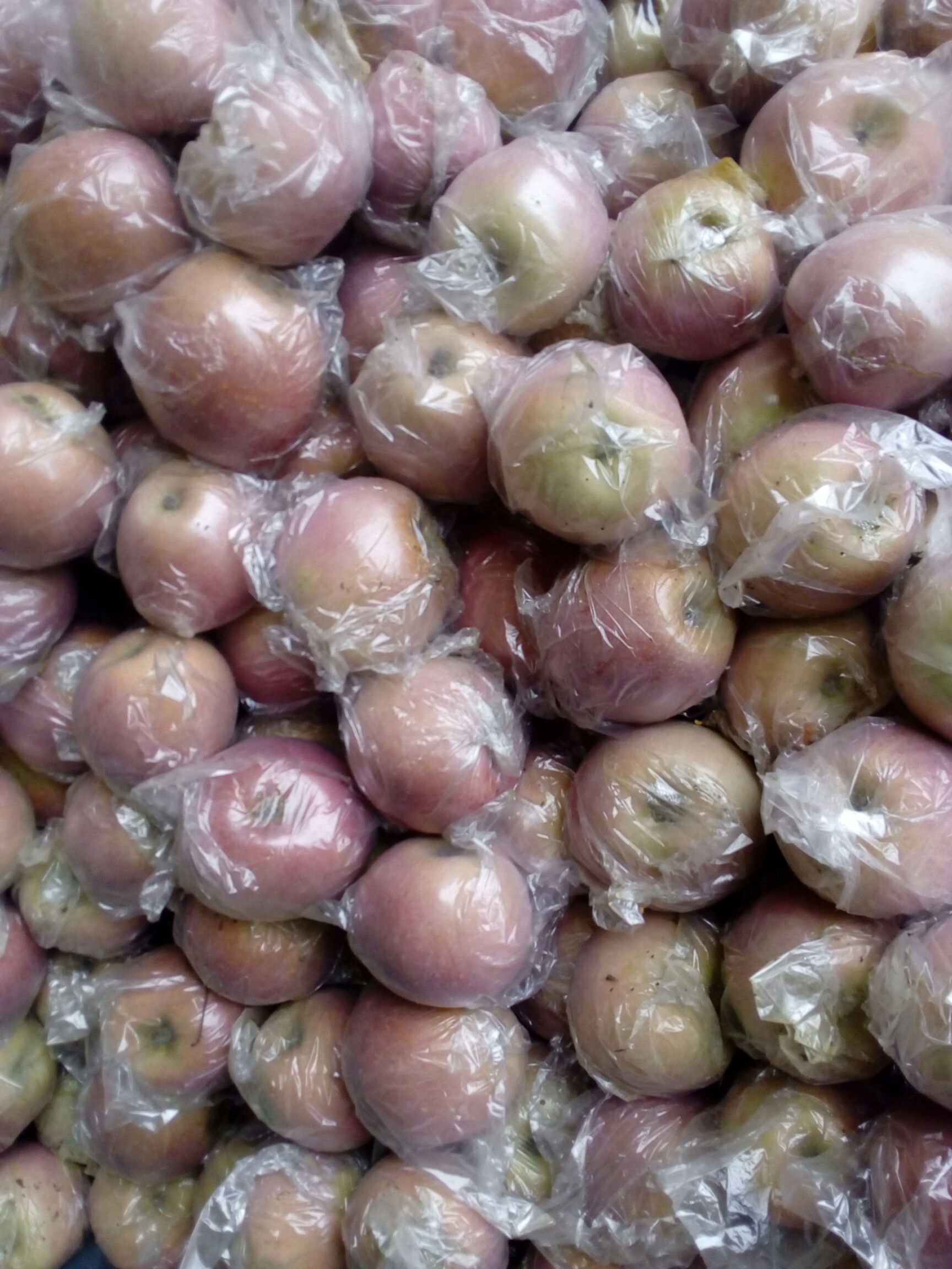 红富士苹果  陕西蒲城膜袋红富士下树啦客商开始装货了