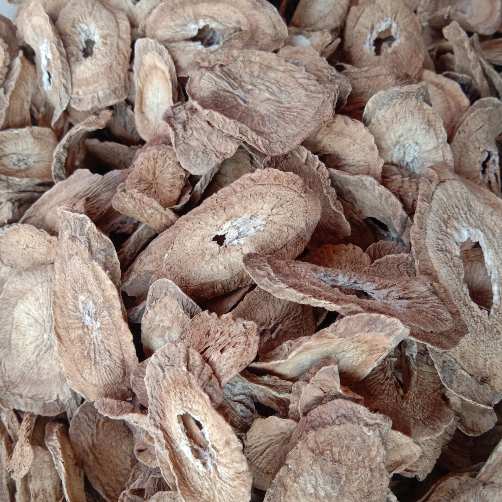 牛蒡茶  牛蒡根