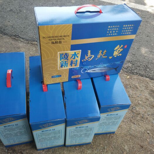 陵水县 海南省陵水县新村镇港口马鲛鱼
