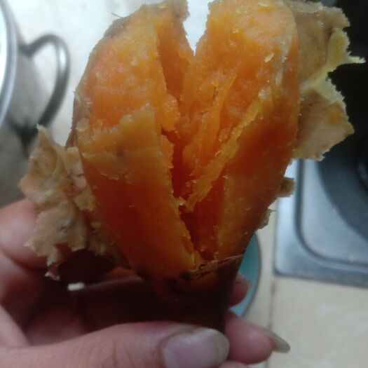 紫云县紫云红心红薯 混装通货 黄皮 