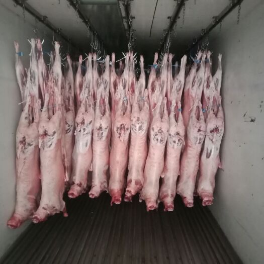 唐县白条羊  我公司生产的放心肉，希望各位老板们来砸单，羊的产品多，