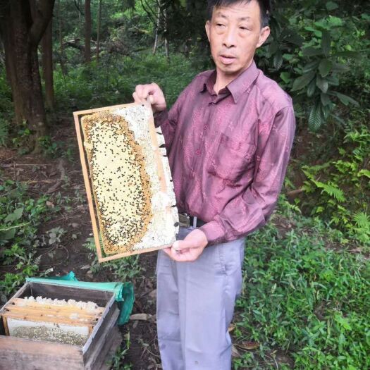 信丰县土蜂蜜 李氏蜂业