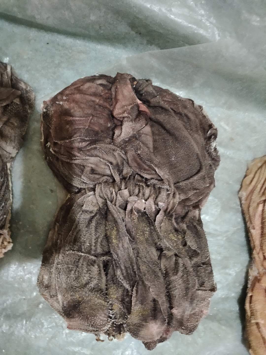 冻鲜牛百叶，