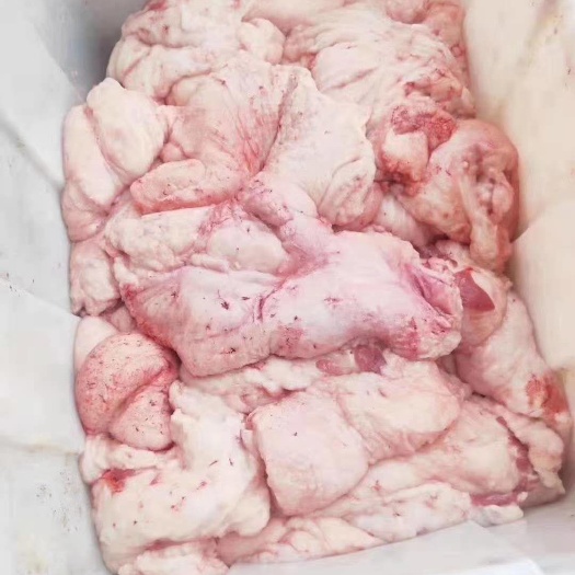 济南羊尾巴  新鲜羊尾油，包油，烧烤必用，品质保证，厂家直销，